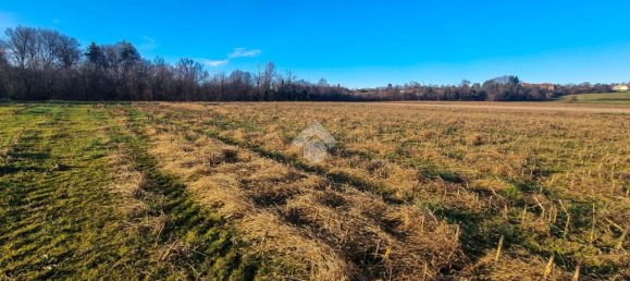 Terrain à Missaglia, Italy 11420m² No. 91497 15