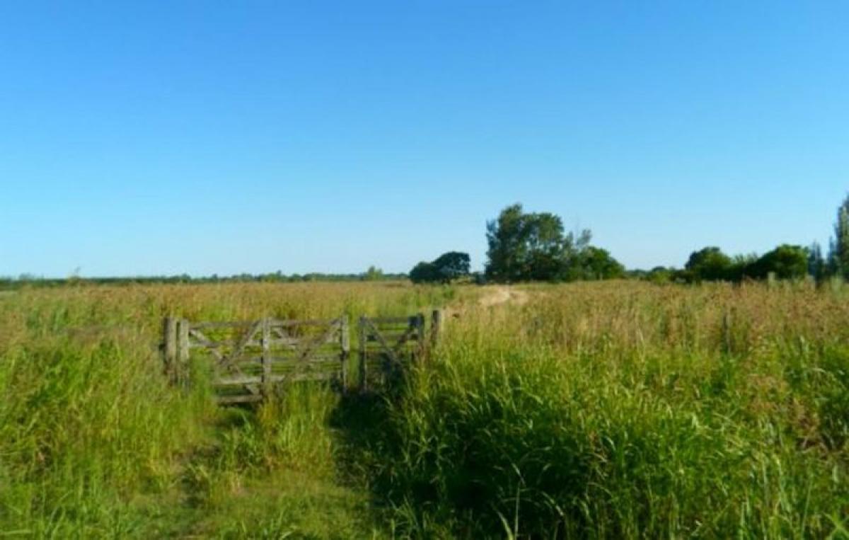  قطعة أرض في Santa Fe, Argentina رقم 40895