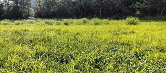 Terreno em Polpenazze del Garda, Italy 7725 m² N.º 236672 3