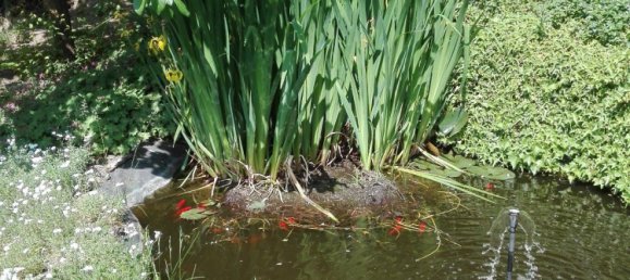 5-Zimmer Haus in Jena, Germany, Nr. 235253 4