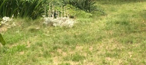 5-Zimmer Haus in Jena, Germany, Nr. 235253 2