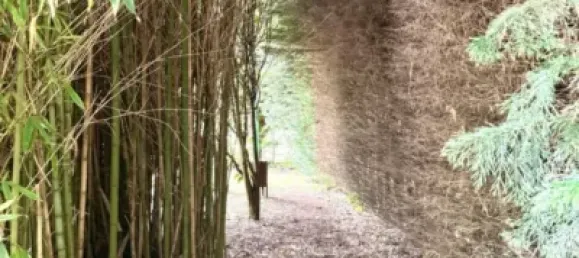 12 غرف نوم منزل في Cantabria, Spain رقم 182606 43