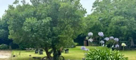 12 غرف نوم منزل في Cantabria, Spain رقم 182606 17