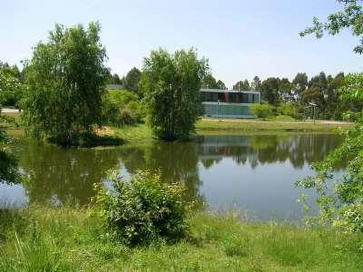  قطعة أرض في Montevideo, Uruguay رقم 15242