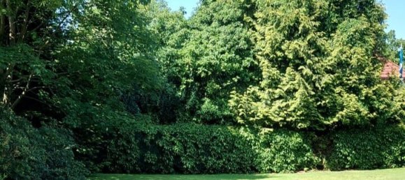 8-Zimmer Stadthaus in Wittmund, Germany, Nr. 188366 39