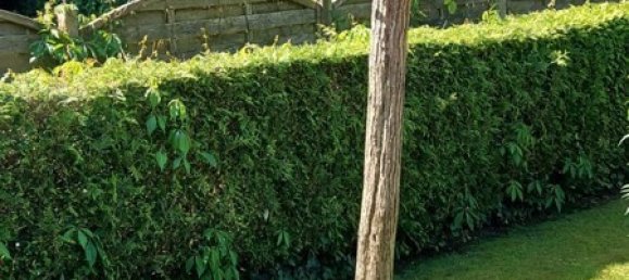 8-Zimmer Stadthaus in Wittmund, Germany, Nr. 188366 40