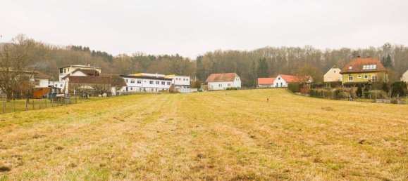 Terreno en Gussing, Austria No. 163407 4