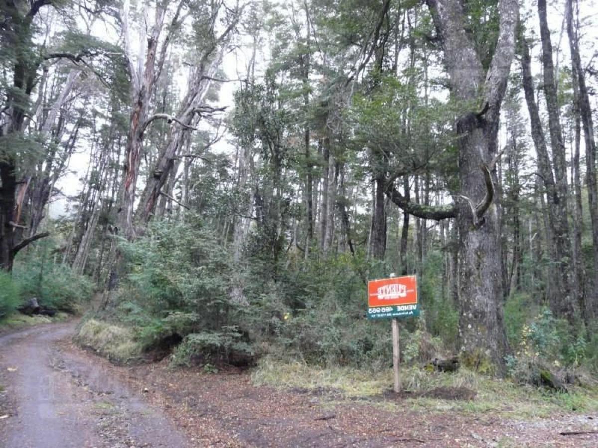  Land in Neuquen, Argentina No. 50121