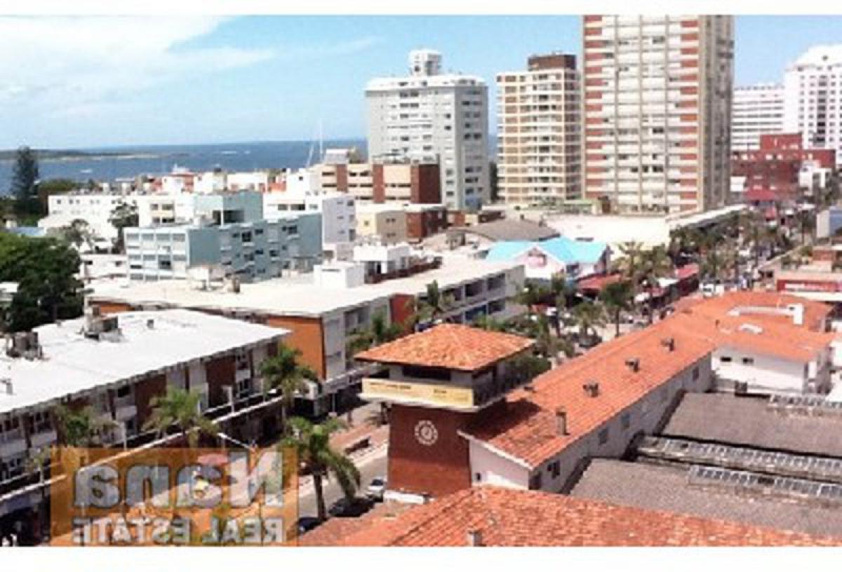 Studio in Maldonado, Uruguay No. 4589