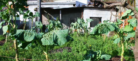 2 غرف نوم منزل في Baiao, Portugal رقم 86830 30