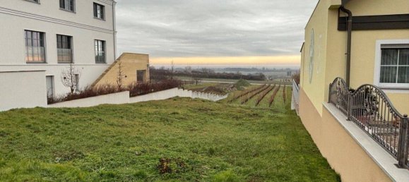 2250m² Land in Purbach am Neusiedler See, Austria No. 71709 3