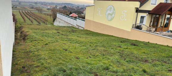 2250m² Land in Purbach am Neusiedler See, Austria No. 71709 4