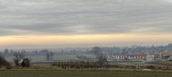 2250m² Land in Purbach am Neusiedler See, Austria No. 71709 9