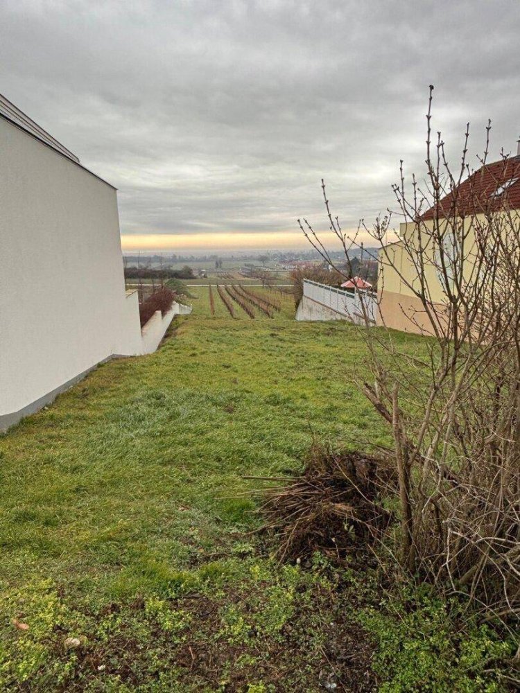 2250m² Land in Purbach am Neusiedler See, Austria No. 71709