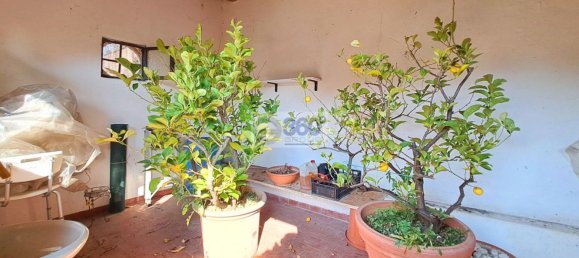 Вилла с 4 комнатами в Пассирано, Италия № 234730 13