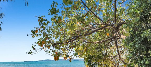 3 chambres Maison à Macleay Island, Australia No. 527 3