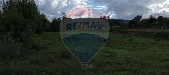 Земельный участок 4550м² в Geme, Португалия № 34404 11