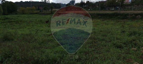 Земельный участок 4550м² в Geme, Португалия № 34404 8