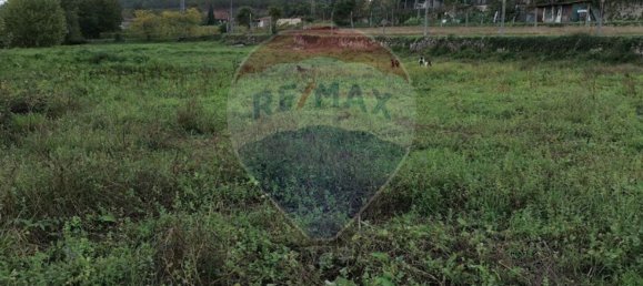 Земельный участок 4550м² в Geme, Португалия № 34404 3