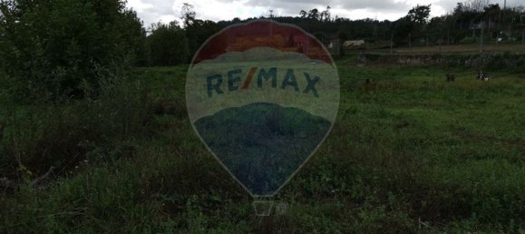 Земельный участок 4550м² в Geme, Португалия № 34404 10