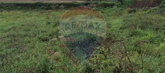 Земельный участок 4550м² в Geme, Португалия № 34404 7