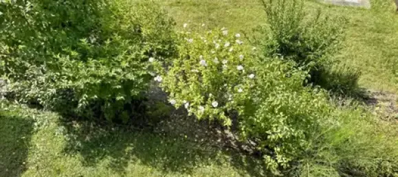 5 bedrooms House in Marburg-Biedenkopf, Germany No. 368480 4