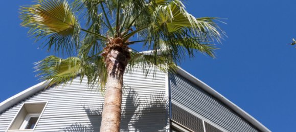 Adosado de 4 dormitorios en Fuengirola, Spain No. 137563 31