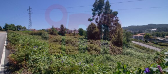 Terreno em Moreira de Cónegos, Portugal N.º 55681 2