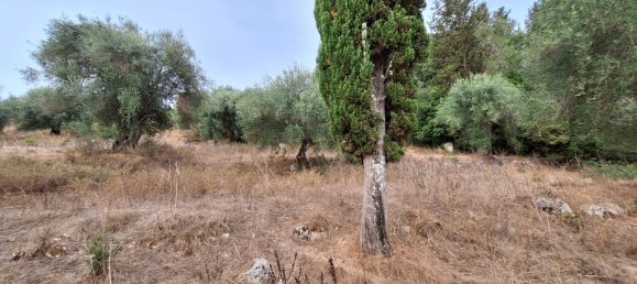 Propriedade comercial T3 em Corfu, Greece N.º 55217 11