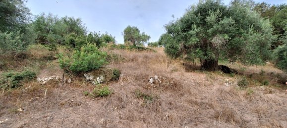 Propriedade comercial T3 em Corfu, Greece N.º 55217 21