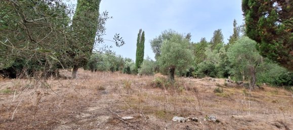 Propriedade comercial T3 em Corfu, Greece N.º 55217 10