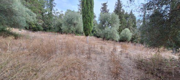 Propriedade comercial T3 em Corfu, Greece N.º 55217 13