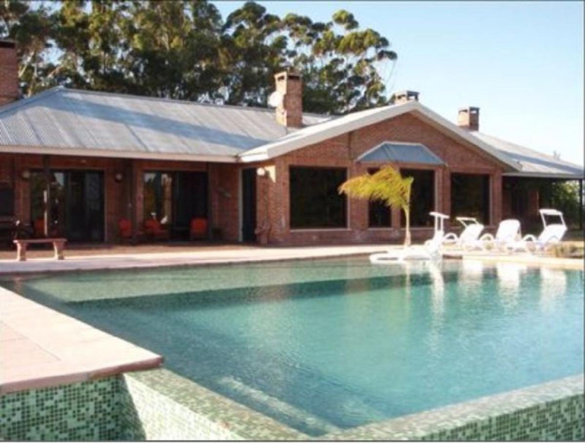  Farm in Maldonado, Uruguay No. 14673