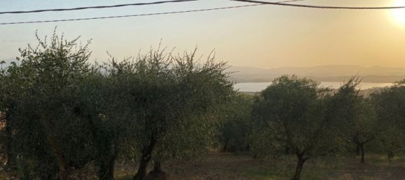 4غرفة منزل في Castiglione del Lago, Italy رقم 78053 9
