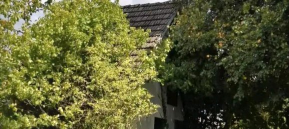  Land in Altenkirchen, Germany No. 328591 3