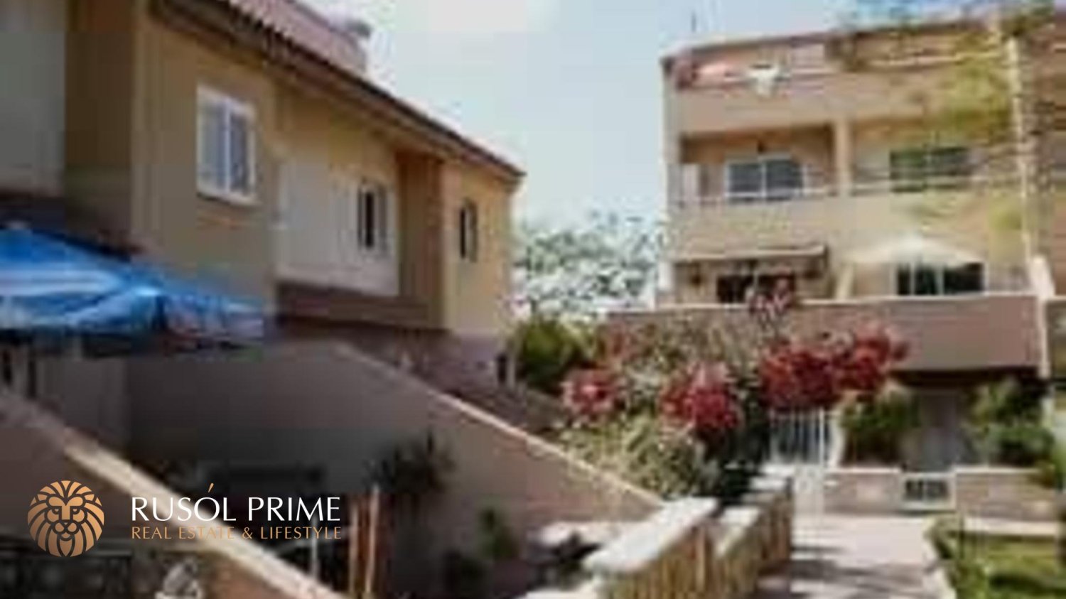 1 غرف نوم شقة في Adeje, Spain رقم 385