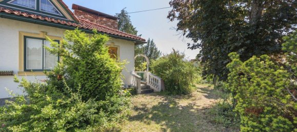 5 rooms Bungalow in Felixdorf, Austria No. 146517 21