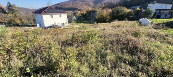 Terreno en Klausen-Leopoldsdorf, Austria No. 165304 5