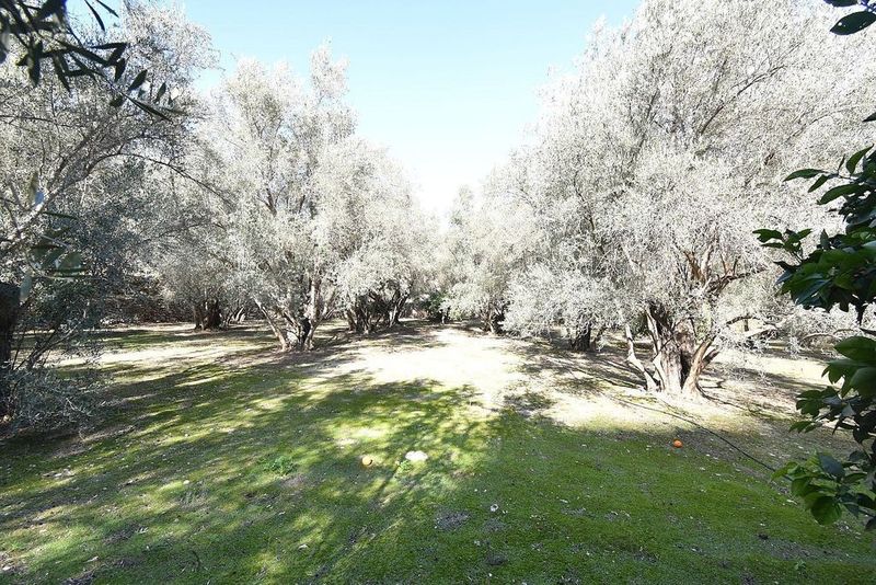  قطعة أرض في Granada, Spain 17409متر مربع رقم 226299