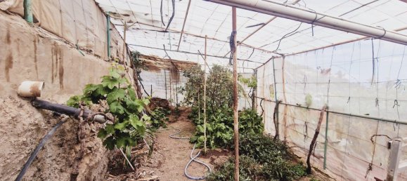 1 Schlafzimmer Haus in Telde, Spain, Nr. 25269 29