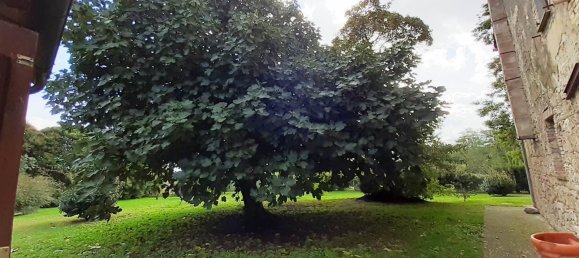 5 bedrooms House in Sarteano, Italy No. 223115 11