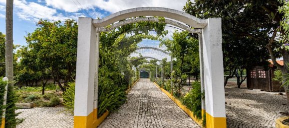 9 bedrooms House in Setubal, Portugal No. 51166 3