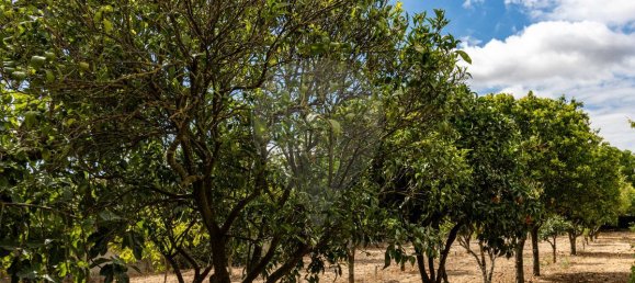 9 bedrooms House in Setubal, Portugal No. 51166 32