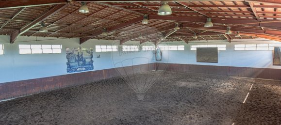 9 bedrooms House in Setubal, Portugal No. 51166 26