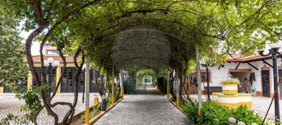 9 bedrooms House in Setubal, Portugal No. 51166 2