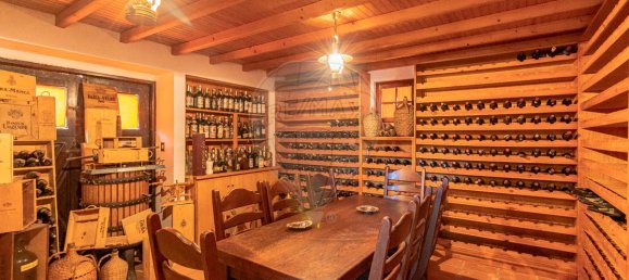 9 bedrooms House in Setubal, Portugal No. 51166 12