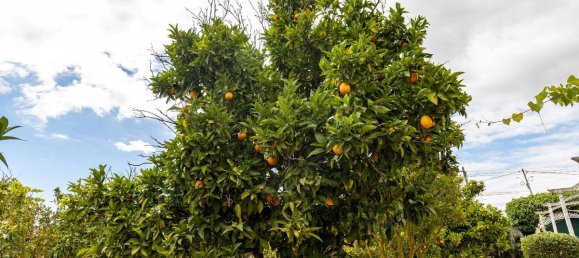 9 bedrooms House in Setubal, Portugal No. 51166 30