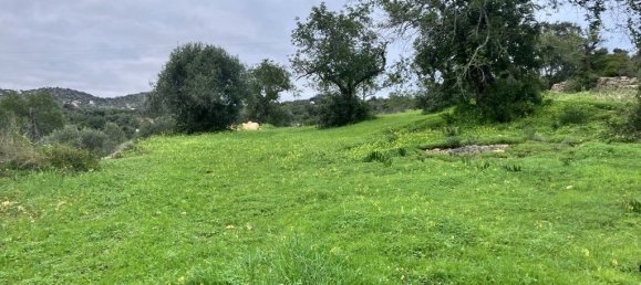 5720m² Land in Faro, Portugal No. 39906 2