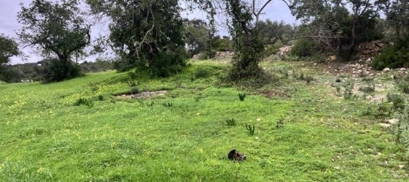 5720m² Land in Faro, Portugal No. 39906 3