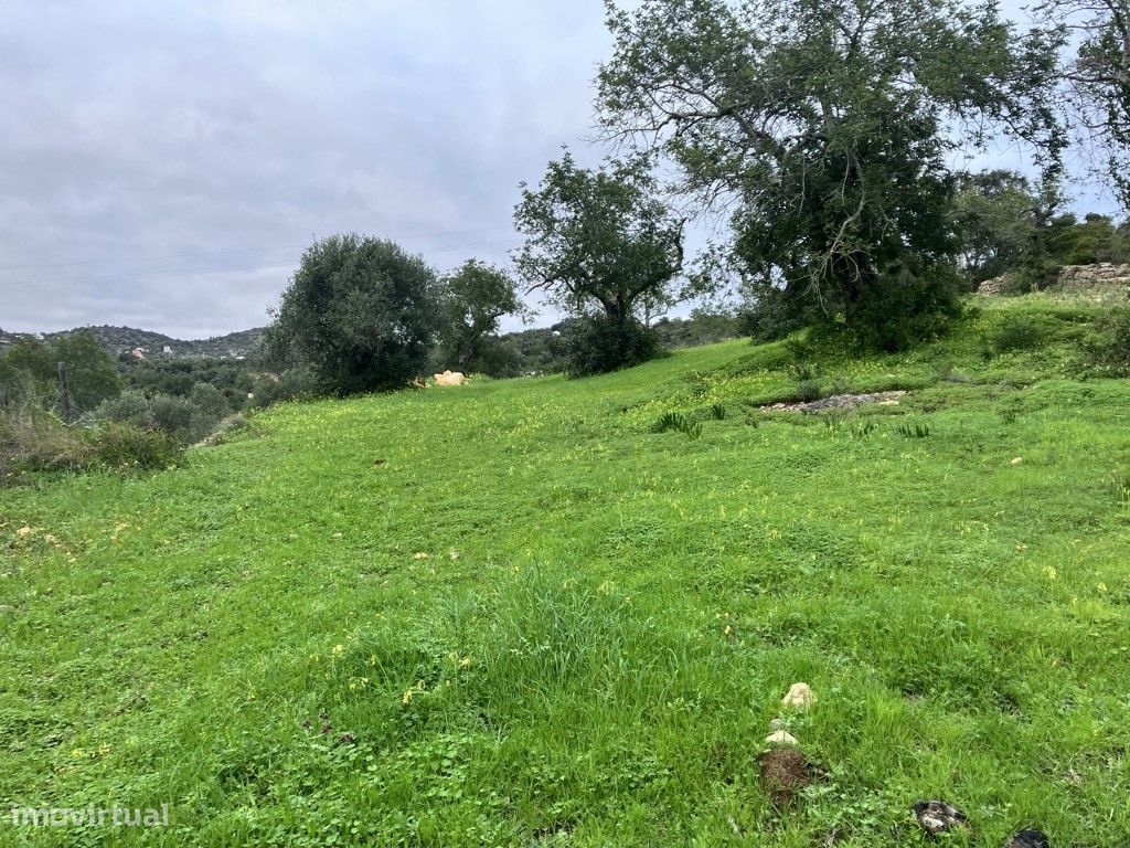 5720m² Land in Faro, Portugal No. 39906